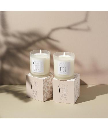 CNFN Christmas Tree Scented Candle - 7oz Coconut Wax Winter Candle for Home - Nordic Forest Fragrance - 40 Hrs Burn Time - Cozy Season Decor - Buy Online on GoSupps.com