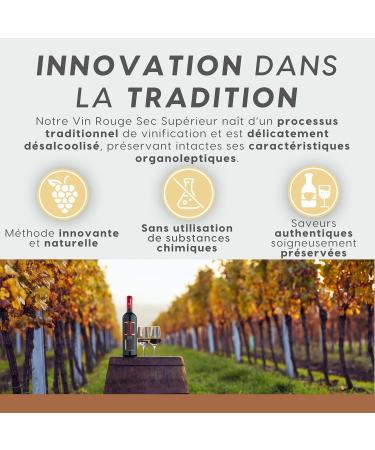 ALTERNATIVA Rosso Analcolico 0.0% - Confezione da 6 Bottiglie da 750 ml - Rosso Superiore Dry Dealcolato Italiano Senza Alcol - Perfect for Celebrazioni Regali - Alcohol Free - Buy Online on GoSupps.com