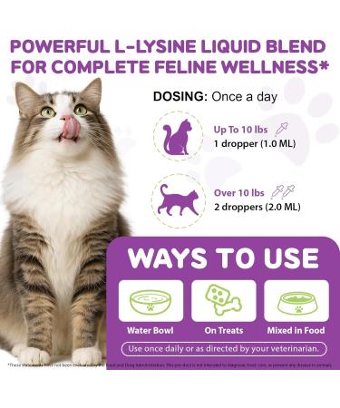 2 PCS L-Lysine Supplement for Cats, Immune & Respiratory Support Liquid with Natural Ingredients, Chicken Flavor Dietary Supplement for Skin, Coat & Eye Health, 2 fl oz - Buy Online on GoSupps.com
