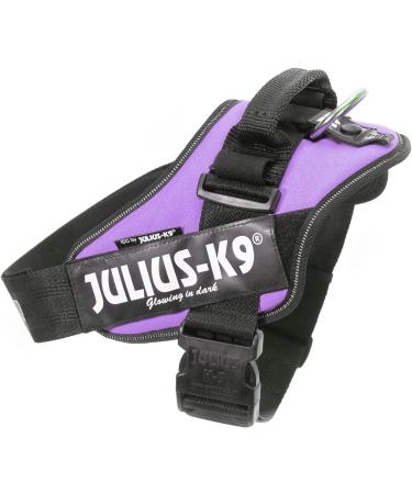 Buy IDC Powerharness 3XL/4 in Purple | Premium International Shipping Available - Buy Online on GoSupps.com