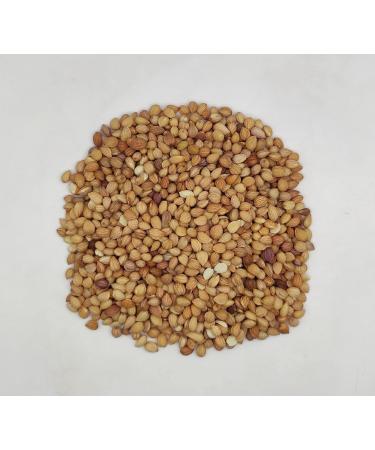 AgoraMarket Dried Mahleb Cherry Seeds Mahlepi 40g 195Kg Prunus Mahaleb 1950 grams - Buy Online on GoSupps.com