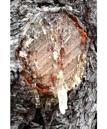 Buy Made in USA Beard Balm for Men | Sandalwood & Patchouli | Mustache Wax Conditioner | Nourishing Beeswax & Oils | 2oz Grooming Essential - Buy Online on GoSupps.com