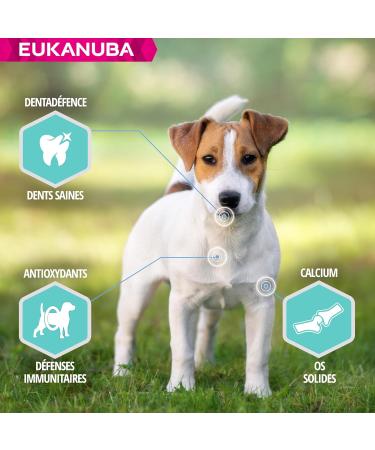 EUKANUBA Dog Daily Care Puppy Sensitive Digestion 2.3KG - Buy Online on GoSupps.com
