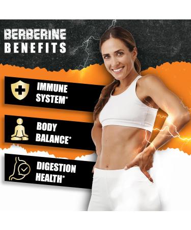 Berberine HCl Supplement Ceylon Cinnamon and Turmeric Capsules Green Tea and Bitter Melon Capsules - 120 Capsules for 2 Month Supply - Buy Online on GoSupps.com