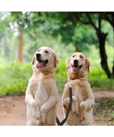 Premium Dog Leash Splitter - Dual Line Leash for 2 Dogs Adjustable Size Perfect for Hiking Jogging & Training - Black - Buy Online on GoSupps.com