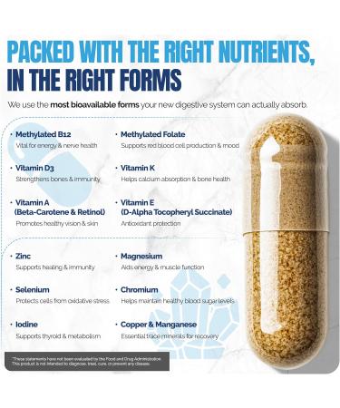 Shiny Leaf Methylated Bariatric Multivitamin Without Iron Vitamins for Gastric Bypass & Sleeve 1 Daily Capsule W Methylated Folate B12 A C D K & More. Vegetarian Soy-Free USA Made (60 Ct.) 60 Count (Pack of 1) - Buy Online on GoSupps.com