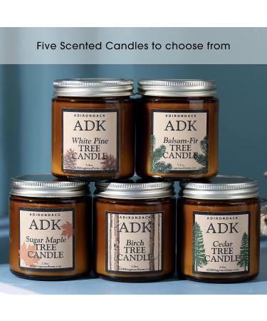 Buy Birch Scented Candle - Plant Based Aromatherapy for Home Decor | 17 hrs Burn Time | Natural Gift for Mother's Day - Buy Online on GoSupps.com