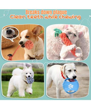 BoxaWay Large Tough Chew Toys for Aggressive Chewers Small & Large Breed Heavy Duty Dental Rope Toys Kit for Medium Dogs Knotted Indestructible Cotton Puppy Teething Chew Tug Toy Set of 11 11 Piece - Buy Online on GoSupps.com