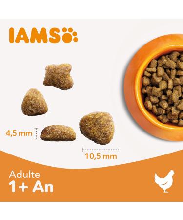 IAMS Dry Cat Food with Sensitive Turkey - for Cats with Sensitive Stomach from 1 year - 3 kg - Buy Online on GoSupps.com