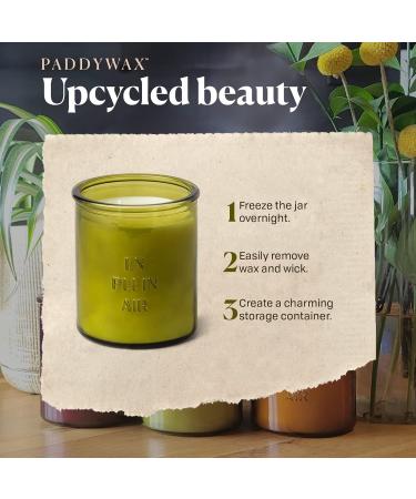 Paddywax Firefly Candle Co. En Plein Air - Sweet Olive Leaf Scented Candle 10oz Soy Wax Blend in Reusable Glass Jar for Home Fragrance & Aromatherapy - Buy Online on GoSupps.com
