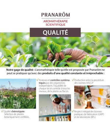 Pranar m Aceite Esencial de Mandarina 100% Quimiotipado - Beneficios Digesti n Salud Intestinal Difusi n Atmosf rica Curas Depurativas Equilibrio Emocional - 10 ml - Buy Online on GoSupps.com