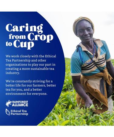 Te Dst-Env English Breakfast 6X25X2 g - Buy Online on GoSupps.com