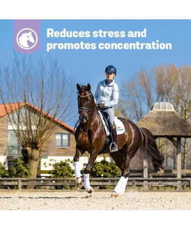 Primeval Stressless Horse - Natural Trimagnesium Citrate & Chicory Fiber for Calm Transport & Vet Visits - 500g Powder Supplement - Buy Online on GoSupps.com