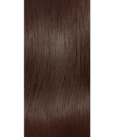 Revlon Colorstay Longwear Permanent Cream Colour Light Brown 6.0 Light Brown 165 ml (Pack of 1) - Buy Online on GoSupps.com