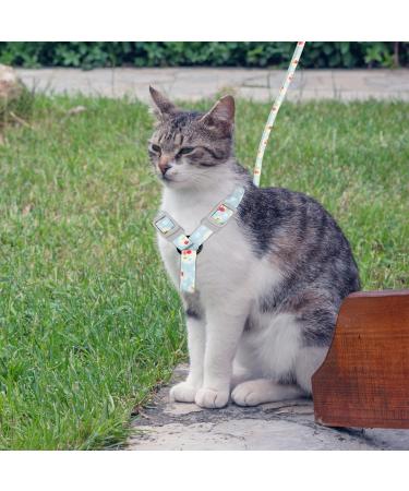 Doryum Cat Harness and Leash Set Adjustable Cat Harness with Leash Escape Proof Soft Pet Harness and Leash Kitten Vest Harness for Small Dog Cat Pet Outdoor Training Walking Running (M) - Buy Online on GoSupps.com