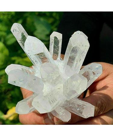 Natural Crystal Rough 1pc White Transparent Quartz Specimen Beautiful (Size : 800g) - Buy Online on GoSupps.com