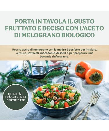  Probios Probios Pomegranate Vinegar with Organic Mother - 500ml Pack - Buy Online on GoSupps.com