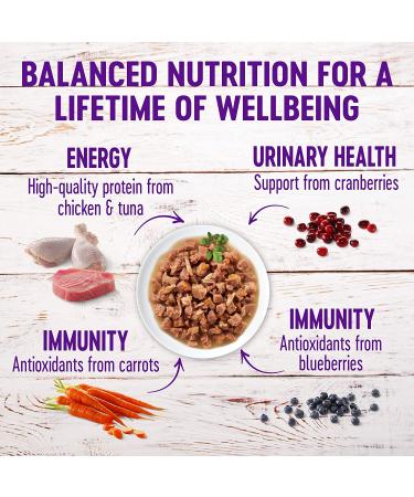 Wellness Healthy Indulgence Grain-Free Wet Cat Food Variety Pack - 3 oz Pouches (Pack of 8) - Natural Proteins for Complete & Balanced Meals - Buy Online on GoSupps.com