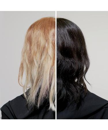 Color Pigment Refresher Mask Shine Kit - Semi Permanent Jet Black Hair Color Depositing Conditioner 8.5 Oz | International Shipping Available - Buy Online on GoSupps.com