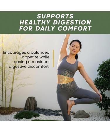 Herbal Immune Support & Adaptogen Drink - 30 Vials (40ml) | 30 Years of Herbal Wellness for Vitality, Energy & Digestive Health - Licorice Root, Astragalus, Hedyotis, Reishi Mushroom Extract 1.33 Fl Oz (Pack of 30) - Buy Online on GoSupps.com
