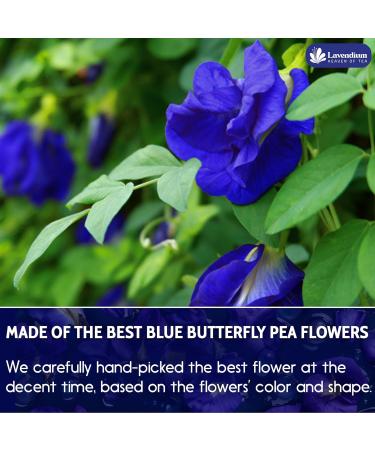 Lavendium Premium 220g (7.76oz) Blue Butterfly Pea Flower Powder 100% Natural and Pure Natural Food Coloring Butterly Pea Flower Tea No Additives No Gluten No Sugar Vegan CA - Buy Online on GoSupps.com