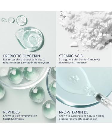 Dove Cream Serum for Dry Sensitive Skin - Prebiotic & Protection with Pro-Vitamin B5 Peptides - 8 oz | International Shipping - Buy Online on GoSupps.com