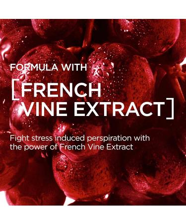 L'Oreal Paris Men Expert Stress Resist Deodorant 250 ml Pack of 6 Fresh 1 count (Pack of 1) - Buy Online on GoSupps.com