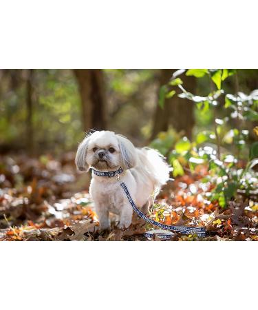 Pets First NFL Large Pet Leash | Officially Licensed Dog Leash - Buy Online on GoSupps.com