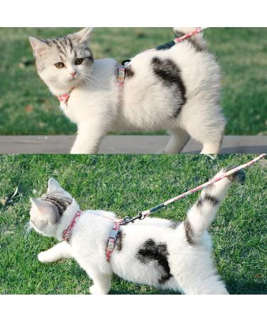 Petom Flower Pattern Cat Dishes & Leash Set | Round Lanyard for Cats - Shop Internationally! - Buy Online on GoSupps.com