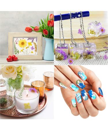 109 Piece Real Dried Pressed Flowers Set with Tweezers - Craft DIY Candle Resin Jewelry Nail Pendant Making Supplies - Buy Online on GoSupps.com