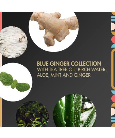 MBIB Clarifying Sulfate-Free Shampoo for Dry & Damaged Hair - Blue Ginger & Mint | 9.6 fl oz - Buy Online on GoSupps.com