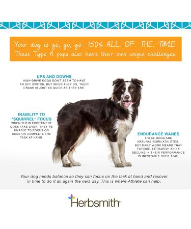 Herbsmith Athlete Canine Endurance Supplement 500g Powder - For Working and Agility Dogs - Buy Online on GoSupps.com