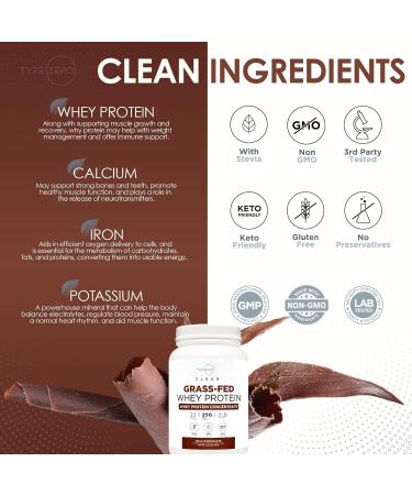 Buy Type Zero Grass Fed Whey Protein Concentrate Powder (Chocolate 2LBS) - Gluten Free & Non-GMO - International Shipping Available - Buy Online on GoSupps.com