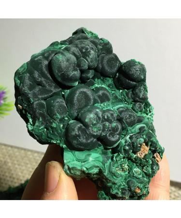 Beautiful Malachite raw Stone Natural Crystal Decoration Home Goods JITZEGMD (Size : 240-250g) - Buy Online on GoSupps.com