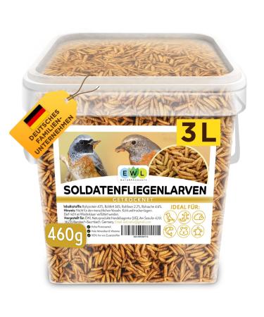 EWL natural products soldier fly larvae dried 3 ltr.Premium insect snack birds fish turtles rodents reptiles bird feed wild birds all year round squirrel feed hedgehog feed 460 g (1 Pack) - Buy Online on GoSupps.com