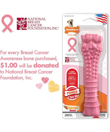 Nylabone Power Chew Breast Cancer Awareness Pink Dog Toy - Chicken Souper Chew - Buy Online on GoSupps.com