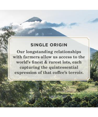 Peet's Coffee Dark Roast Ground Coffee - 18oz Bag, Single Origin Colombia - Buy Online on GoSupps.com