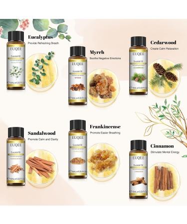 EUQEE Woody Aromatherapy Essential Oils Set - Eucalyptus, Cedarwood, Sandalwood, Frankincense, Cinnamon, Myrrh - 6 x 10ml White Bottles - Buy Online on GoSupps.com