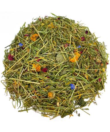 Reptile World Tortoise Edible Bedding | Readi Grass Flowers & Leaves Botanical Bedding Food (100g) 100 g (Pack of 1)