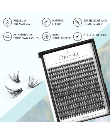 Oreola D Curl Single Eyelashes Set 9-16mm 240pcs Bond & Sea Perfect for International Shipping - Buy Online on GoSupps.com