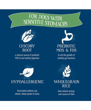 BUTCHER'S Simply Gentle Dog Food Tray 24 x 150g - Buy Online on GoSupps.com