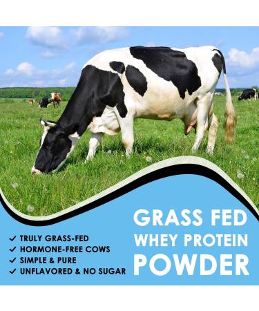 NATURE TARGET Whey Protein Powder Unflavored Protein Powder Whey Protein Isolate for Muscle Growth & Recovery 26G Protein Gluten Free & No Sugars 16 Servings 1.10 Pound (500 G) 1.1 Pound (Pack of 1) - Buy Online on GoSupps.com