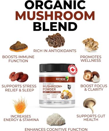 Renew ActivRenew Actives Mushroom Plus - Adaptogen & Antioxidant Blend - Supports Energy Stress Relief & Immune Health - 2.2g Scoop 120 Servings - Buy Online on GoSupps.com