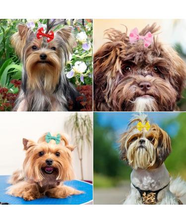 OTKARXUS Dog Hair Bows 48PCS Mixed Colors Dog Bows with Elastic Rubber Bands Puppy Hair Grooming Accessories Dog Hair Bands for Long Hair Puppy Kitten Dogs Cats - Buy Online on GoSupps.com