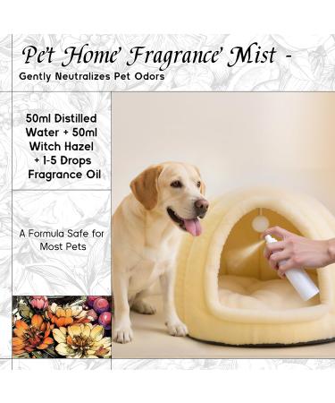 HIQILI 100ML Sandalwood Essential Oil & 150ML Aldehyde Dance Fragrance Oil for DIY Diffuser - Buy Online on GoSupps.com