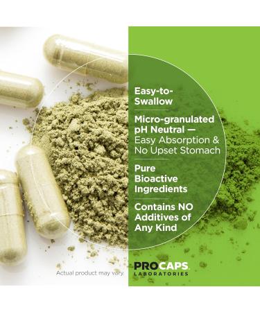 ANDREW LESSMAN Fruit Full Anti-Oxidant Extracts - 180 Easy to Swallow Capsules with Bilberry Cranberry Grape Seed & Pomegranate - Natural Fruit & Berry Blend for Optimal Health - Buy Online on GoSupps.com