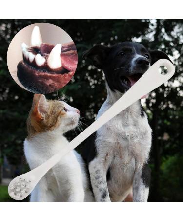 Gralara Pet Dental for Fresh Breath and Teeth - Oral Care Set for Small to Medium Pets White - Buy Online on GoSupps.com