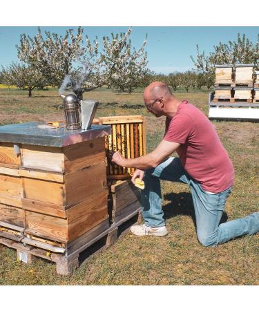 Buy Propolis Syrup with Honey Sage & Echinacea - Natural Health Boost (2 x 200ml) - International Shipping Available - Buy Online on GoSupps.com