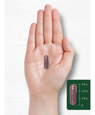 Carlyle Grape Seed Extract 4000mg | 120 Quick Release Capsules | Standardized Polyphenols Complex | Non-GMO & Gluten Free - Buy Online on GoSupps.com