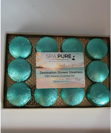 Spa Pure Aromatherapy Shower Bombs | Destination Shower Steamers | 12 Count All Natural Tablets for Men and Women | Rejuvenating New Scents | Bath Melts | 20.0oz Pack - Buy Online on GoSupps.com